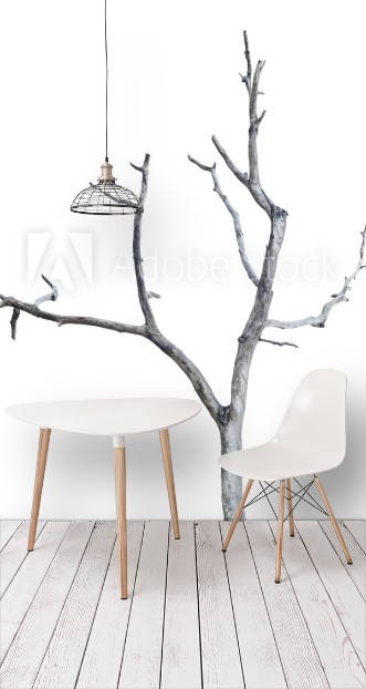 Picture of Single old and dead tree isolated on white background This has clipping path